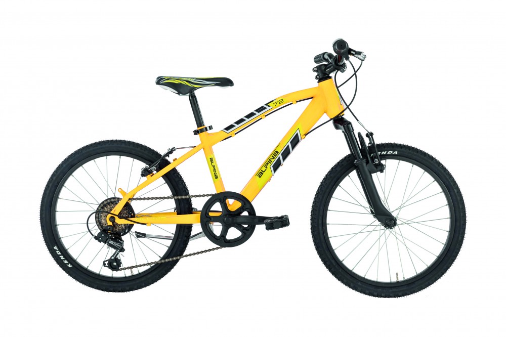 Flip 20'' Alpina Bike
