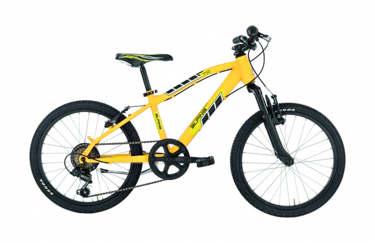 Flip 20'' Alpina Bike